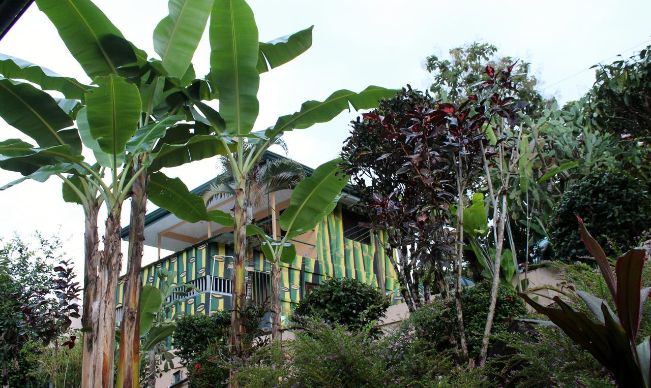 Big Bamboo De Uvita Kültér fotó